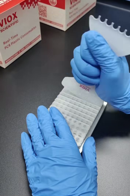 本生鏈式可撕PCR管蓋