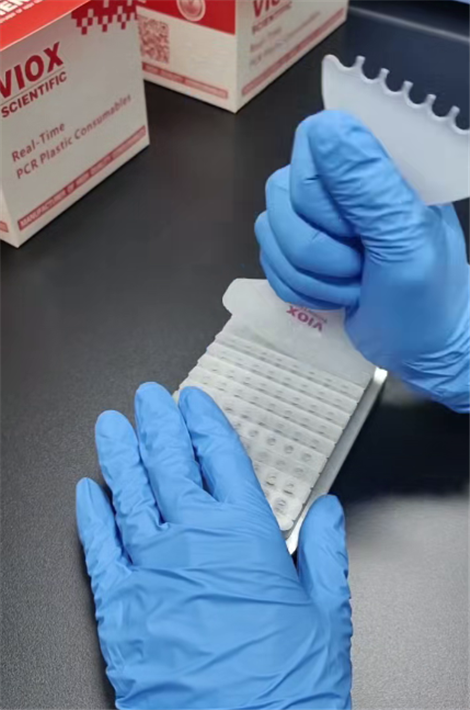 本生链式可撕PCR管盖