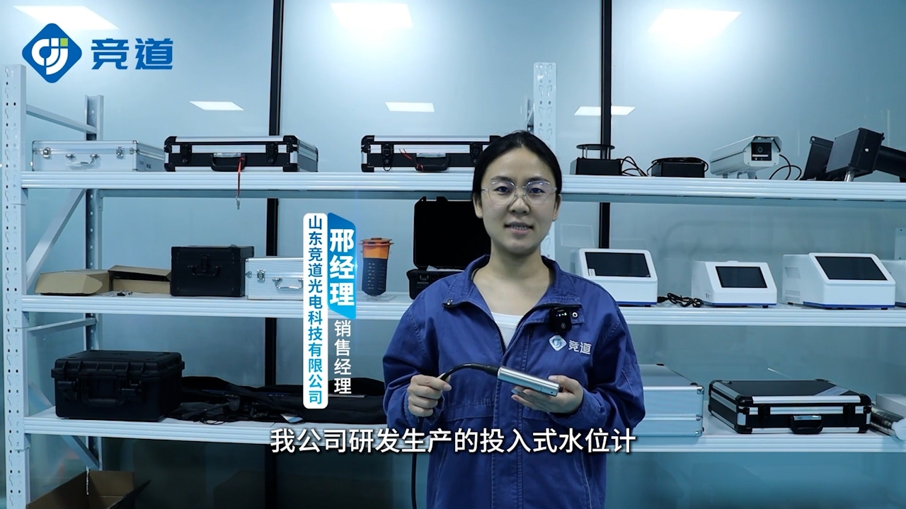 投入式水位計的工作原理及應用