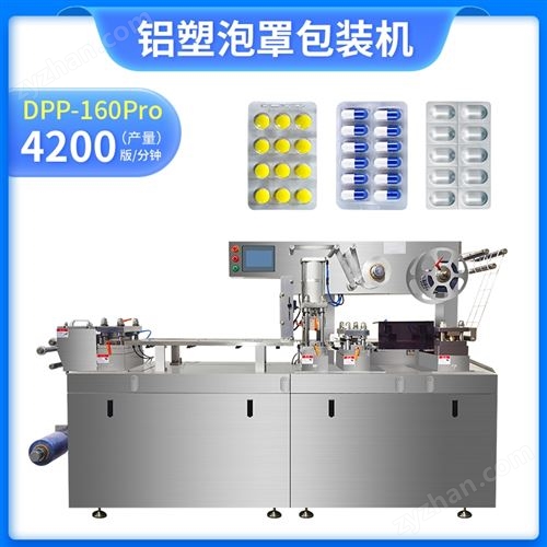 DPP-160Pro�X�����ְ��b�C