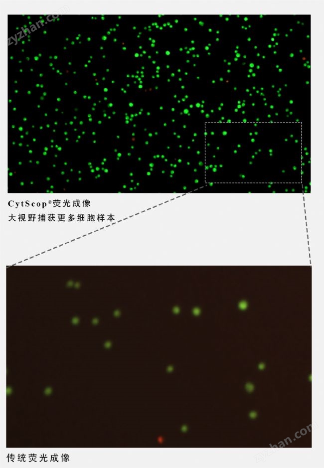國產(chǎn)科研自動細(xì)胞計(jì)數(shù)儀