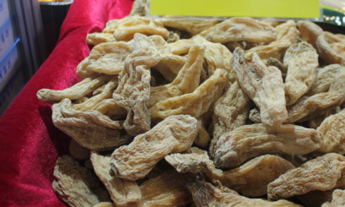 濟(jì)南達(dá)微攜低溫超微粉碎機(jī)參展，破解中醫(yī)藥等行業(yè)重金屬超標(biāo)困局