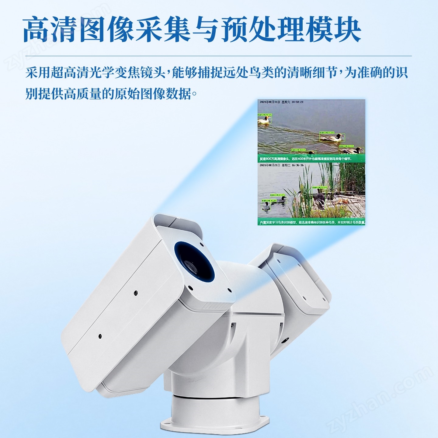 鳥類識別監測設備