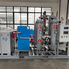 盛爾撬裝PSA高純度制氮機設(shè)備