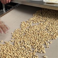 腰果烘焙微波機(jī) 產(chǎn)量350~400公斤/小時(shí)