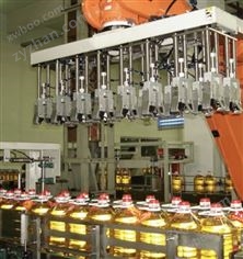 機(jī)器人裝箱機(jī)-機(jī)械手裝箱機(jī)-裝箱機(jī)配件