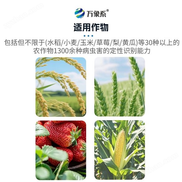 農(nóng)業(yè)在線智慧系統(tǒng)