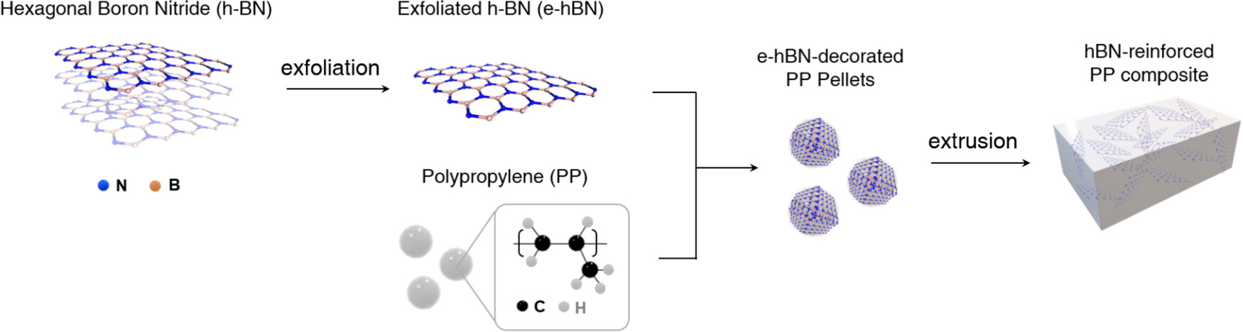 制備 h-BN 增強 PP 復合材料的程序示意圖