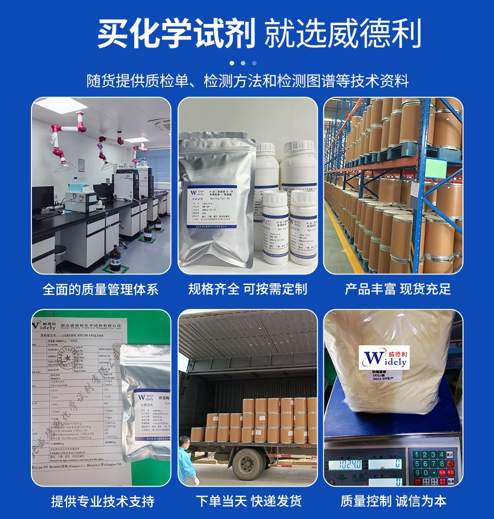 L-谷氨酸氧化酶试剂在企业中的关键用途