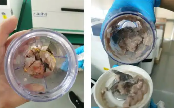 魚(yú)肉研磨.png 魚(yú)肉研磨.png