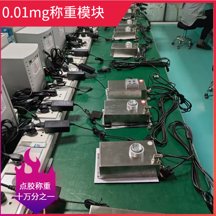 0.01mg稱重模塊- (1).png