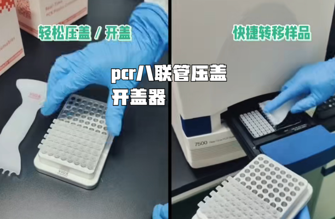 PCR管盖器.png PCR管盖器.png